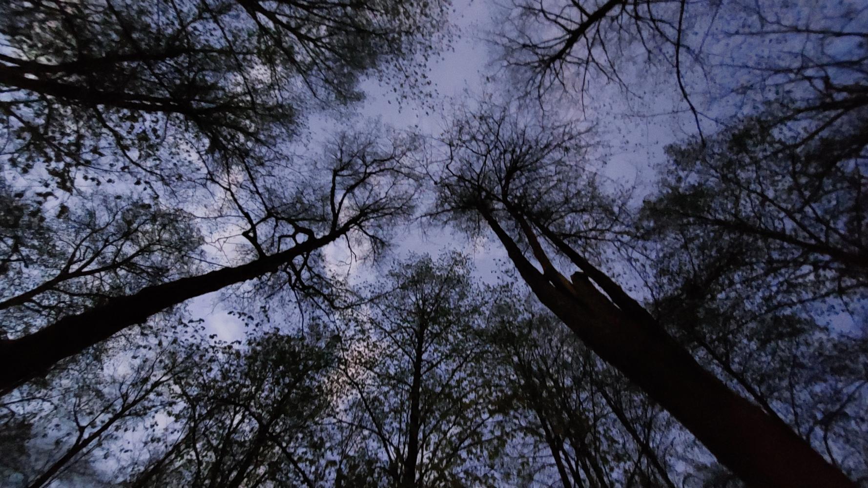 Walking tour - Cathedral Hill Park