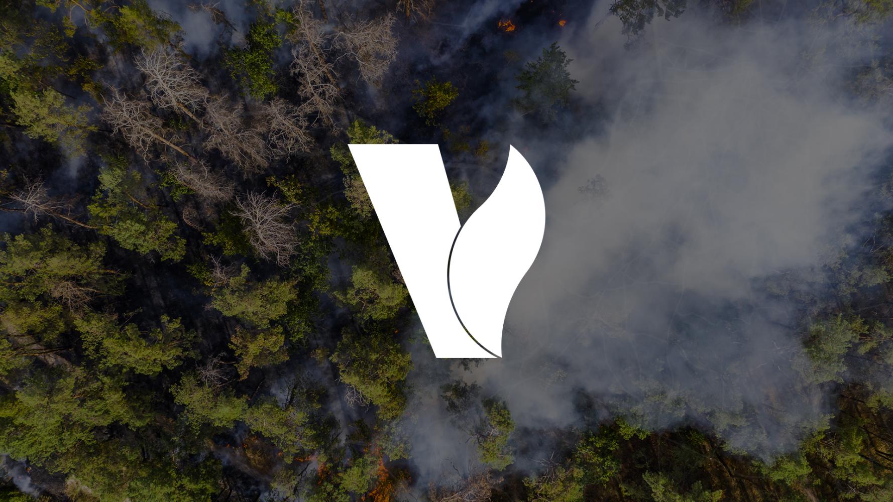 VERA LOGO BRANDING WHITE