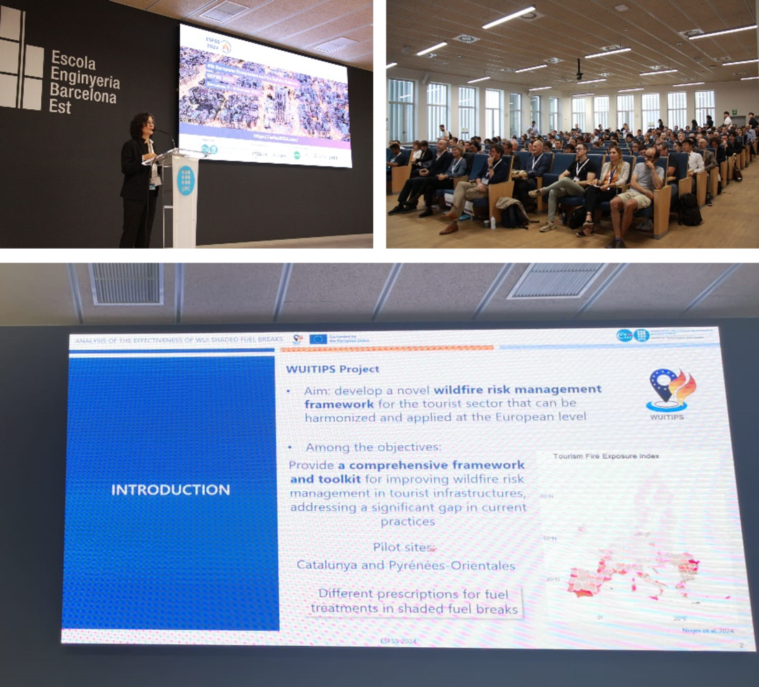 WUITIPS at ESFSS2024