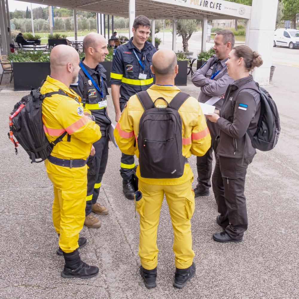 Modules discuss exercise activities.