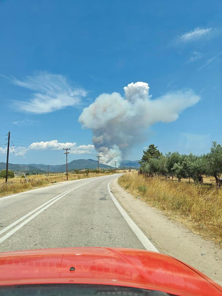 Fire in Nea Santa, municipality of Sappes, Greece, on 3 August 2024, showing pyroconvection activity a few minutes after the fire started. Source: HFS