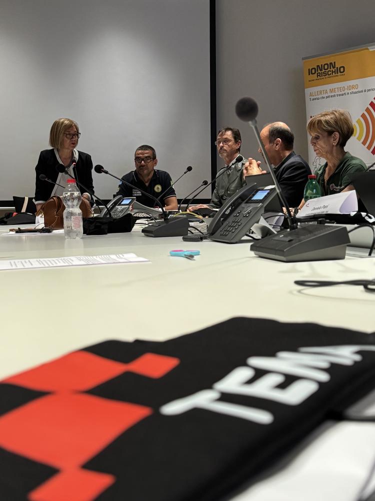 TEMA press conference panel