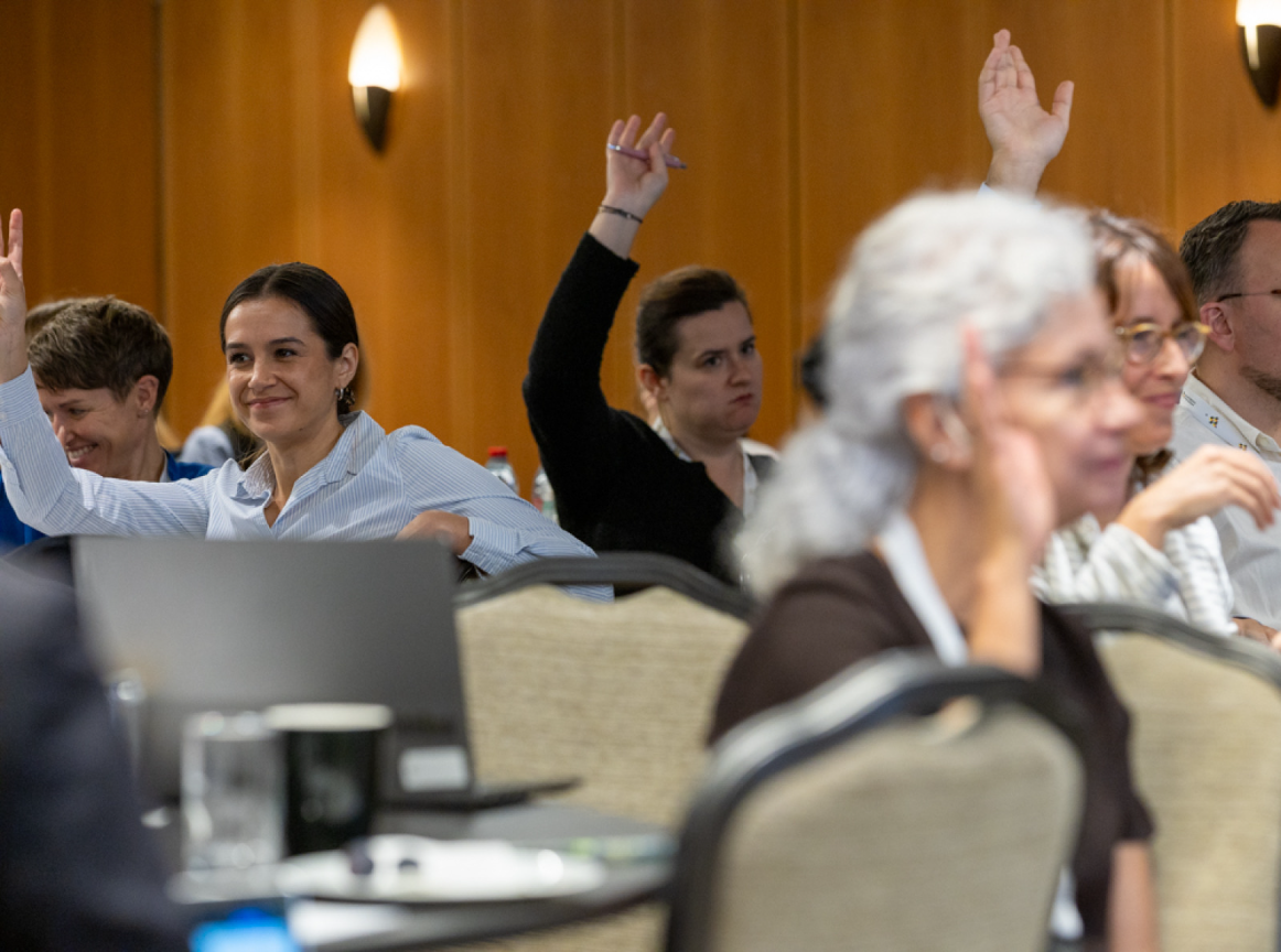 Participants of the preparEU pilot project final conference raise their hands to vote