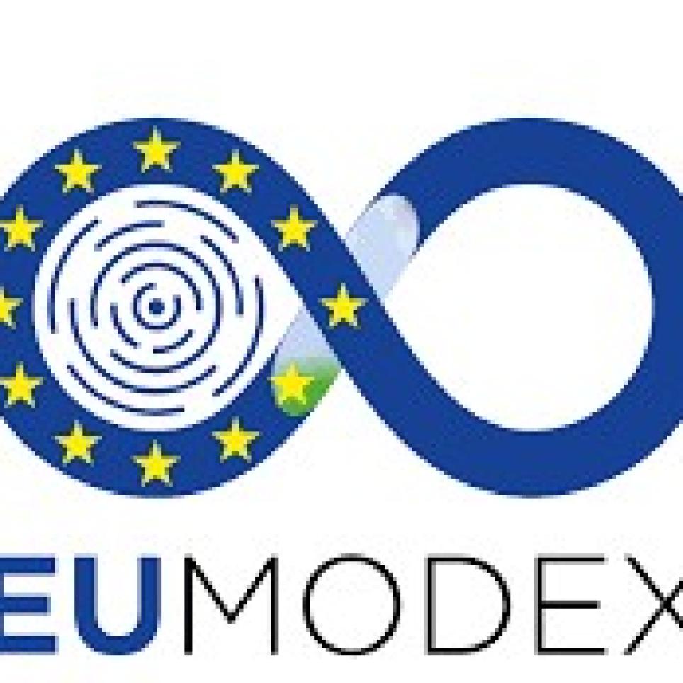 MODEX Lot 4