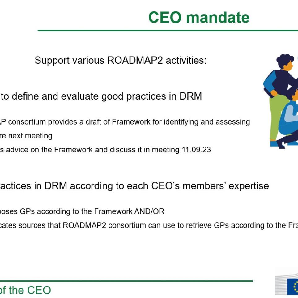 CEO mandate