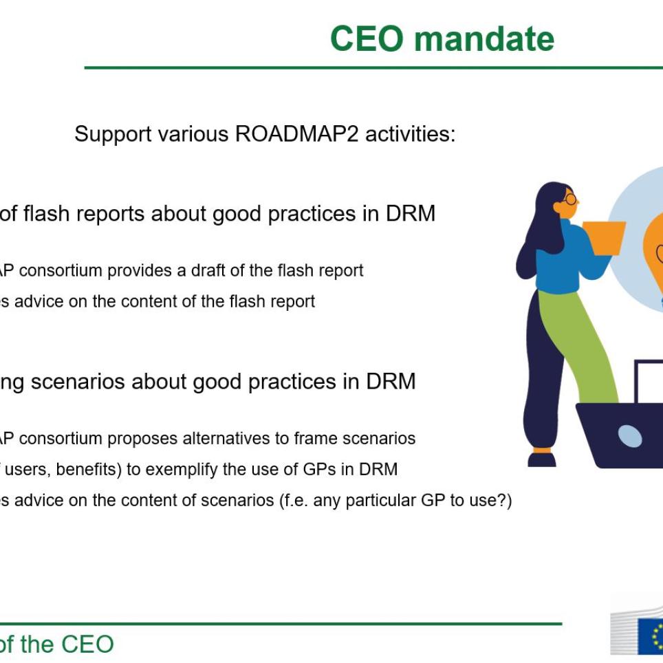CEO mandate