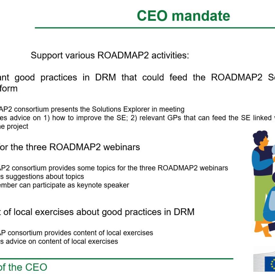 CEO mandate