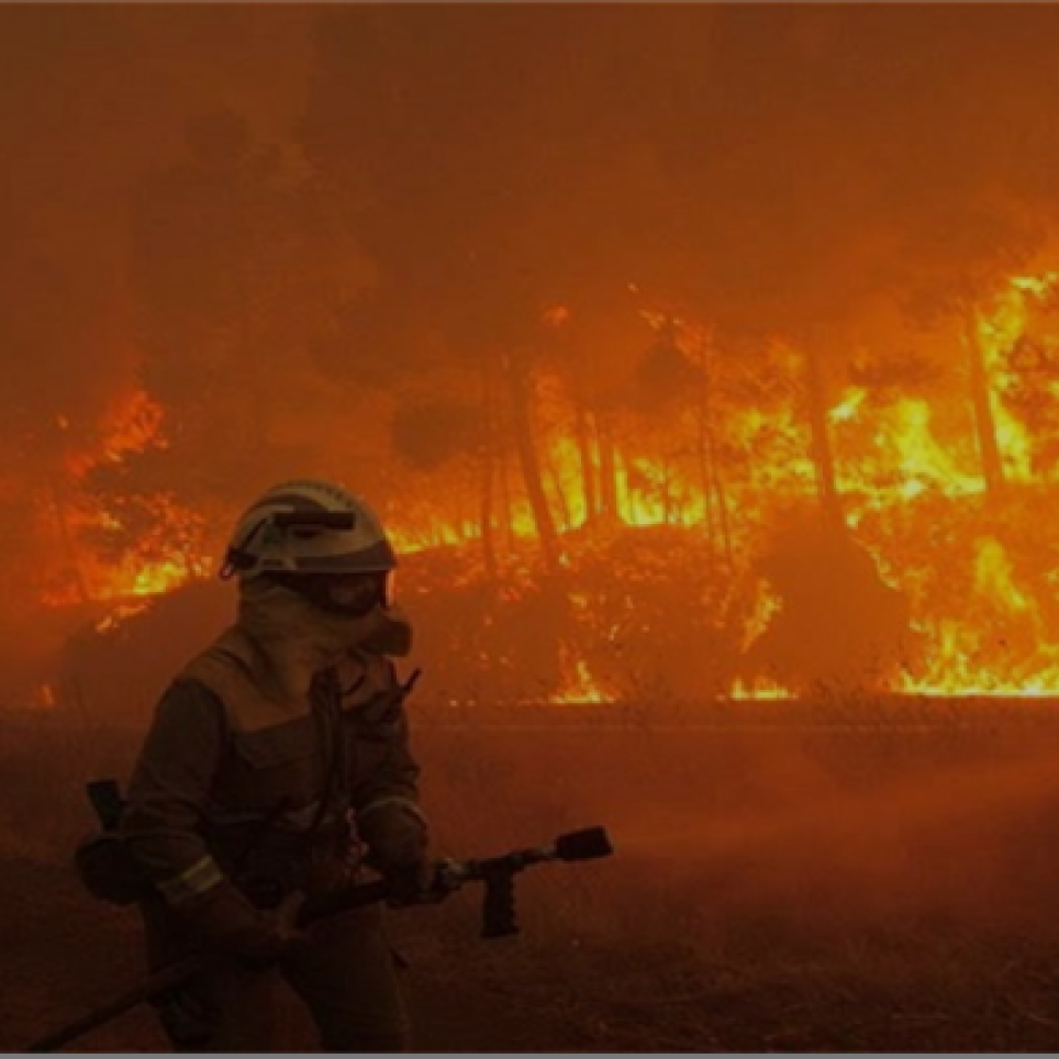 burning forest and firemen