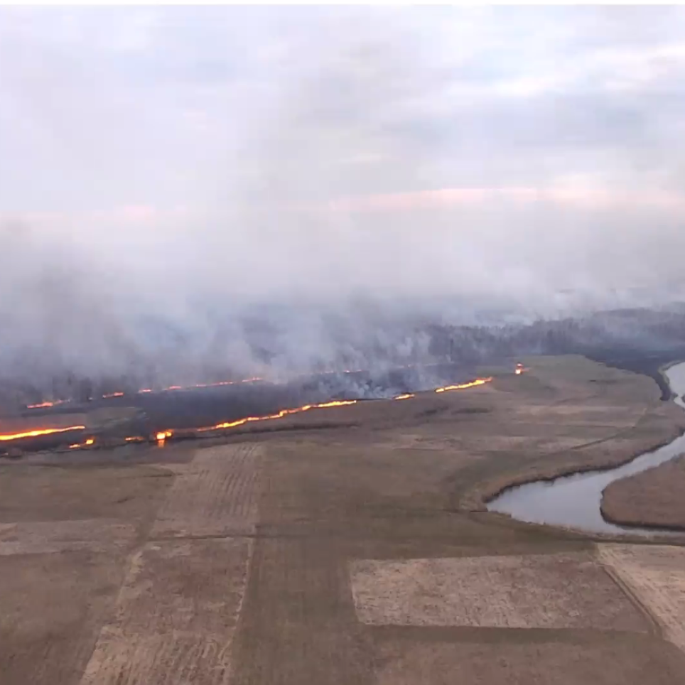 Biebrza Forest Fire 2020