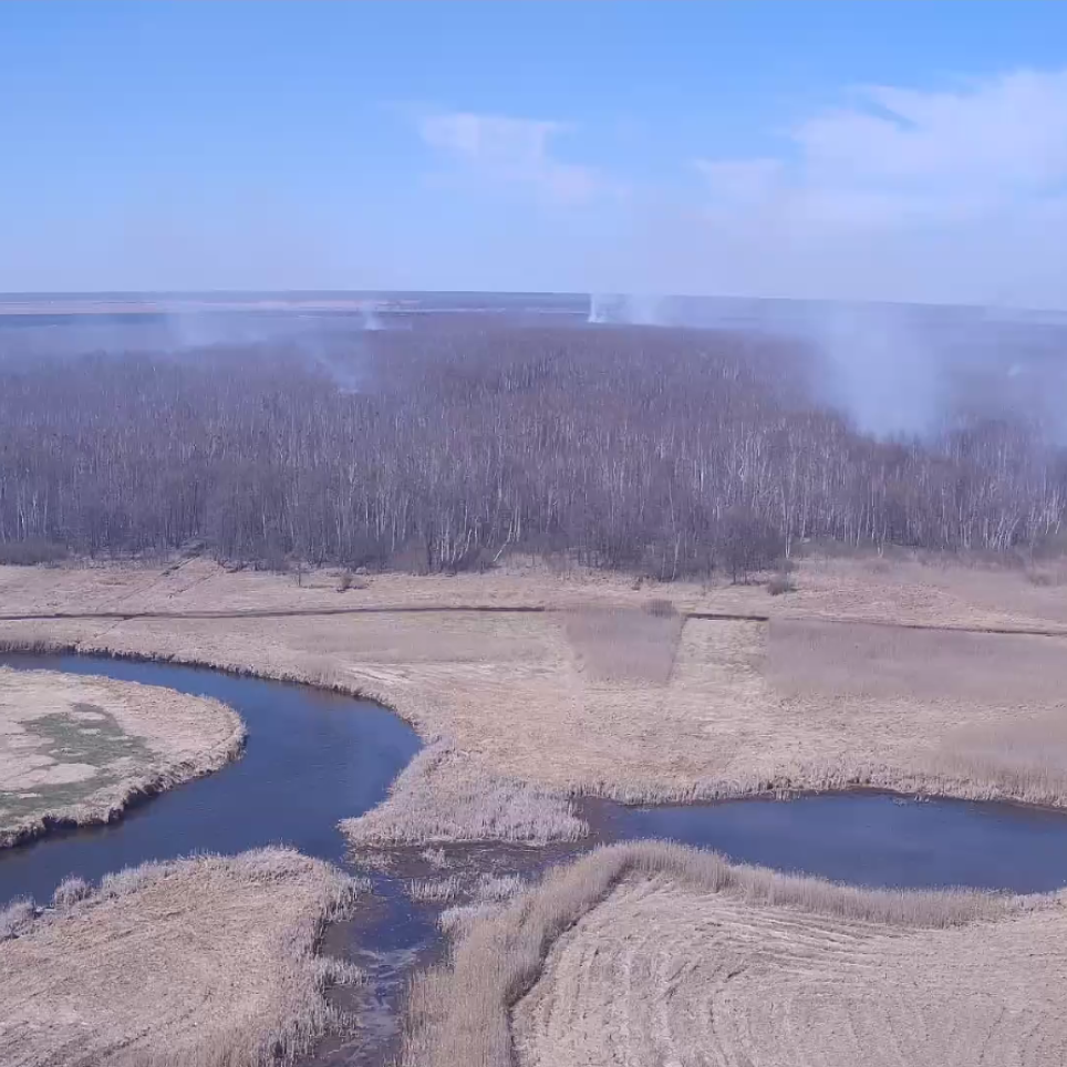 Biebrza Forest Fire 2020