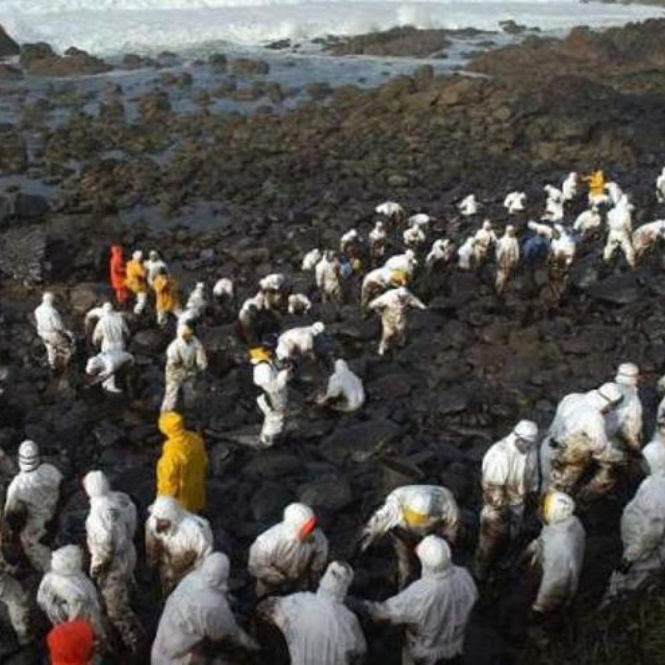 Volunteers on a beach in Muxía after the 'Prestige' disaster  (La Opinion Coruña).