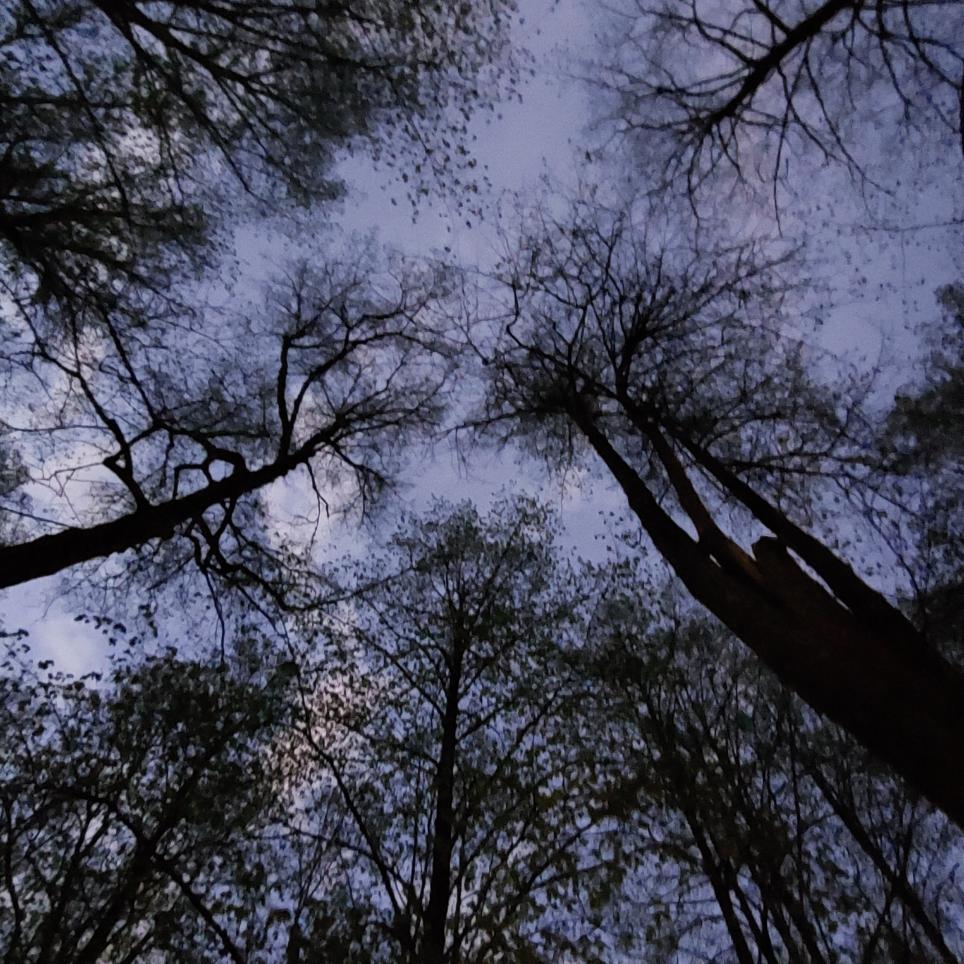 Walking tour - Cathedral Hill Park
