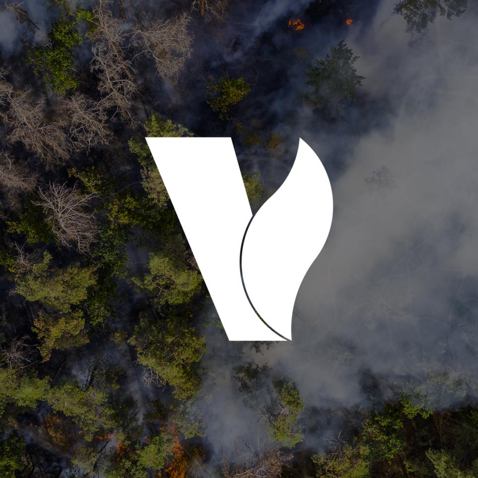 VERA LOGO BRANDING WHITE