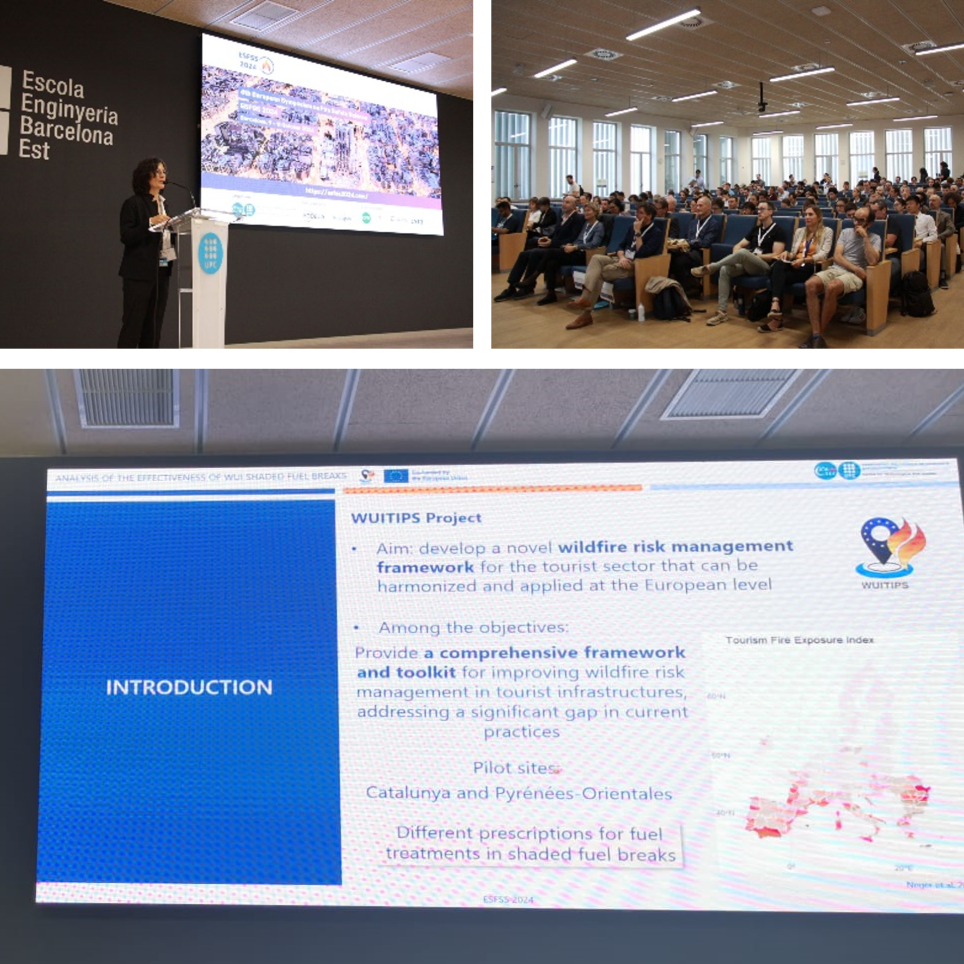 WUITIPS at ESFSS2024