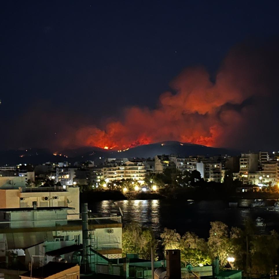 Fire in Pissonas, municipality of Chalkida, Greece, on 31 July 2024. Source: HFS.
