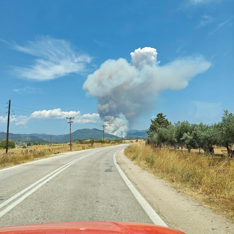 Fire in Nea Santa, municipality of Sappes, Greece, on 3 August 2024, showing pyroconvection activity a few minutes after the fire started. Source: HFS