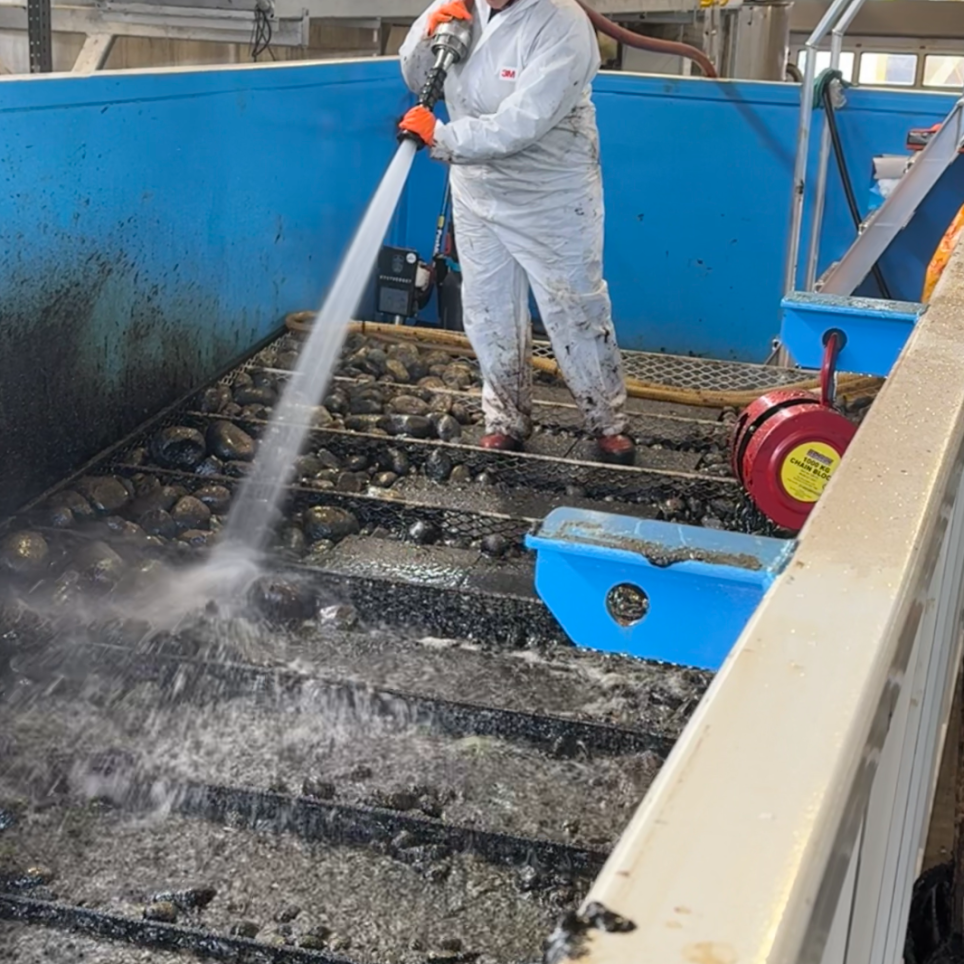 Woman cleaning stones with power washer. 