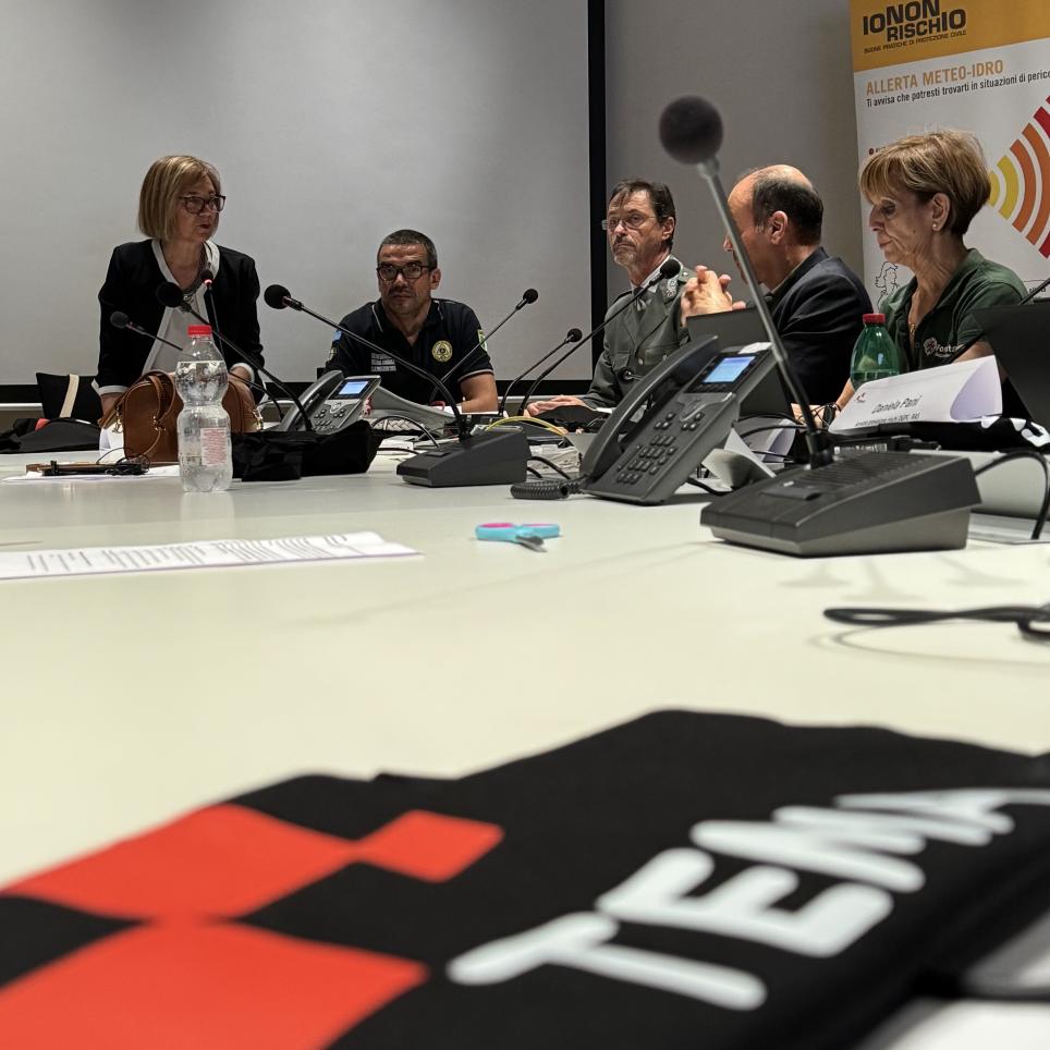 TEMA press conference panel