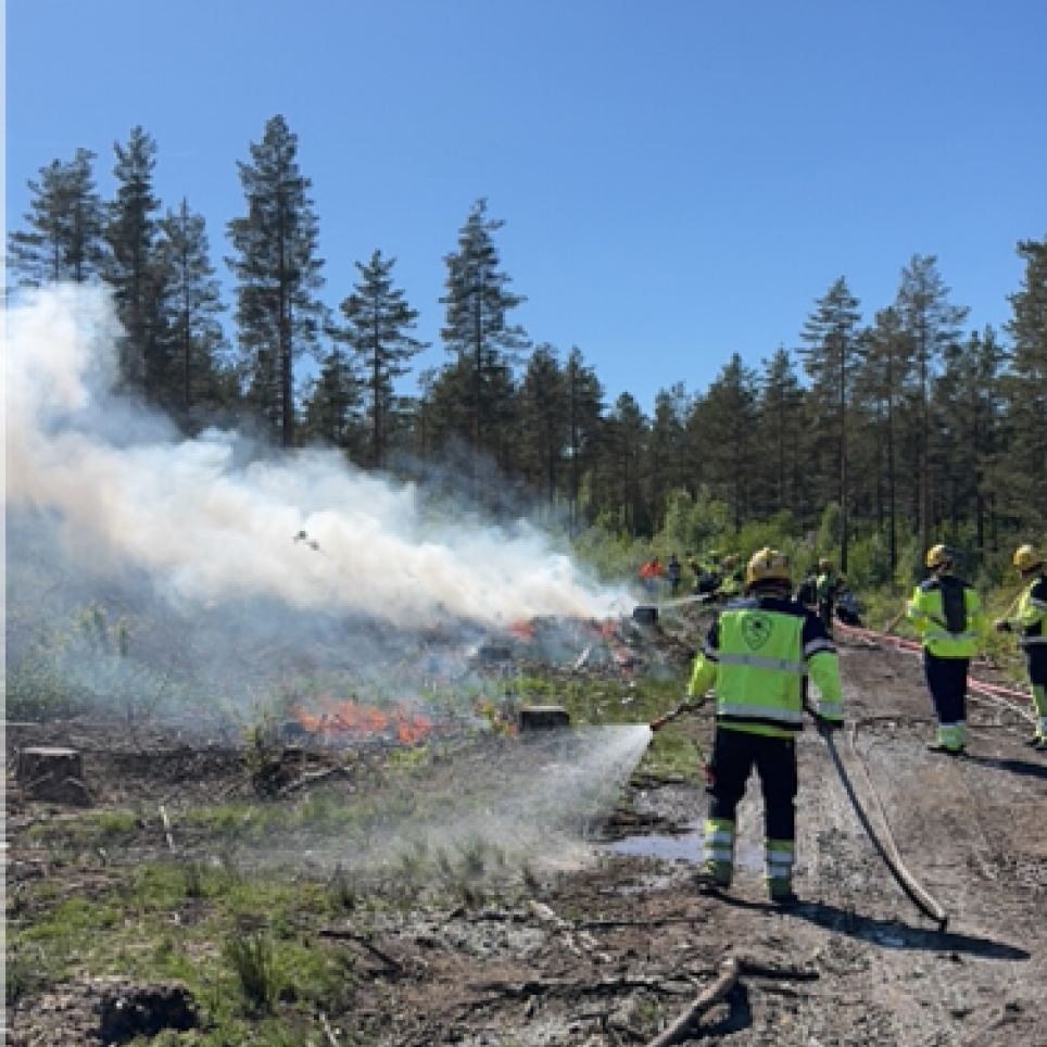 Prescribed/tacticaI burn exercise. Forest fire troops of Telemark