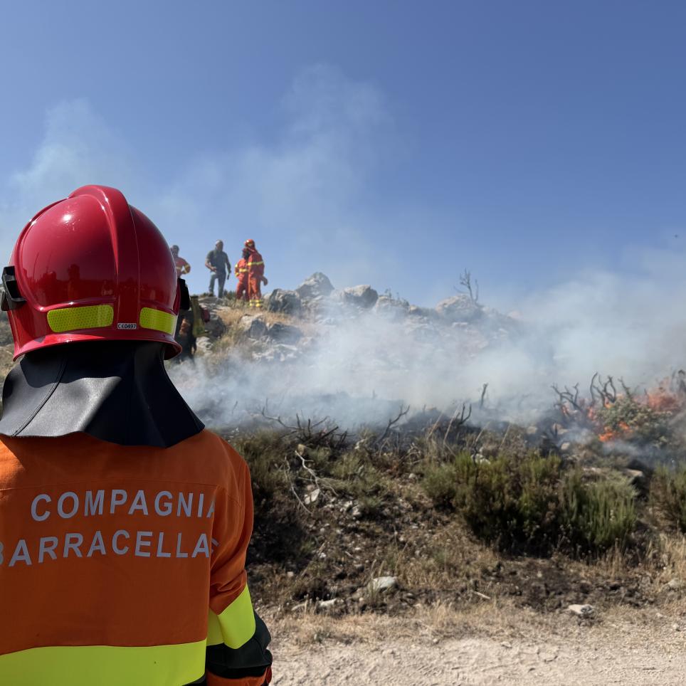 TEMA wildfire exercise in Montiferru 