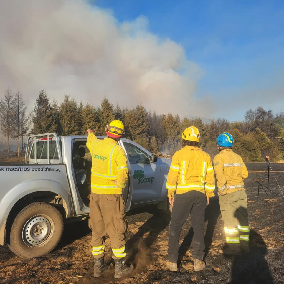 EWED_with CONAF at the Junquillos wildfire