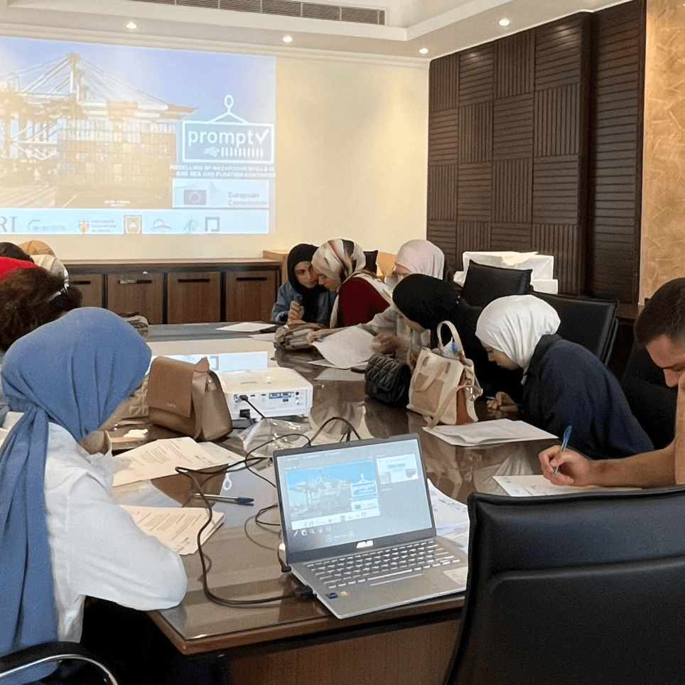 End-user EDSS Training