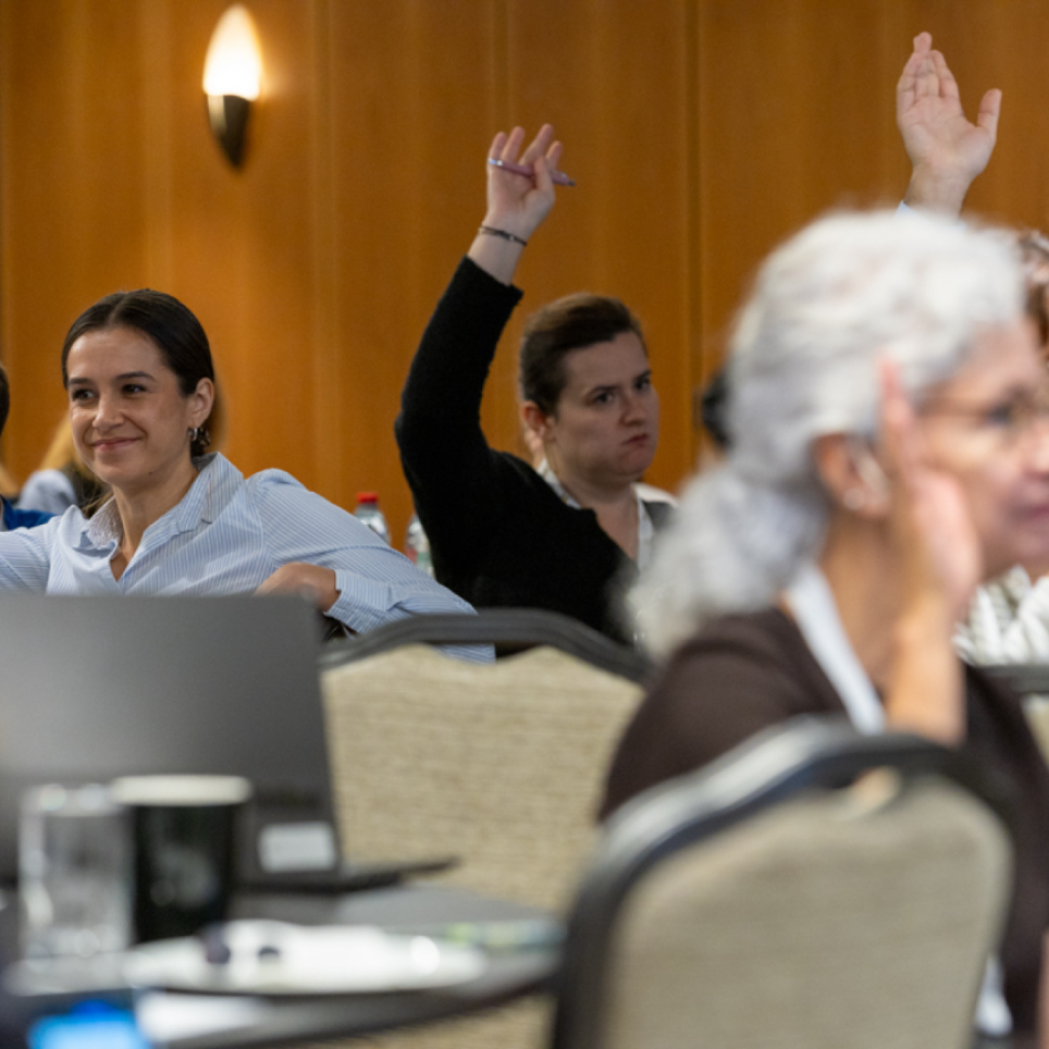 Participants of the preparEU pilot project final conference raise their hands to vote