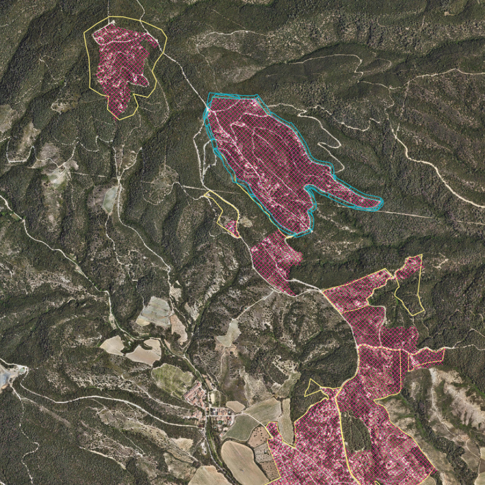 Cartographic view of municipalities in the Anoia region 