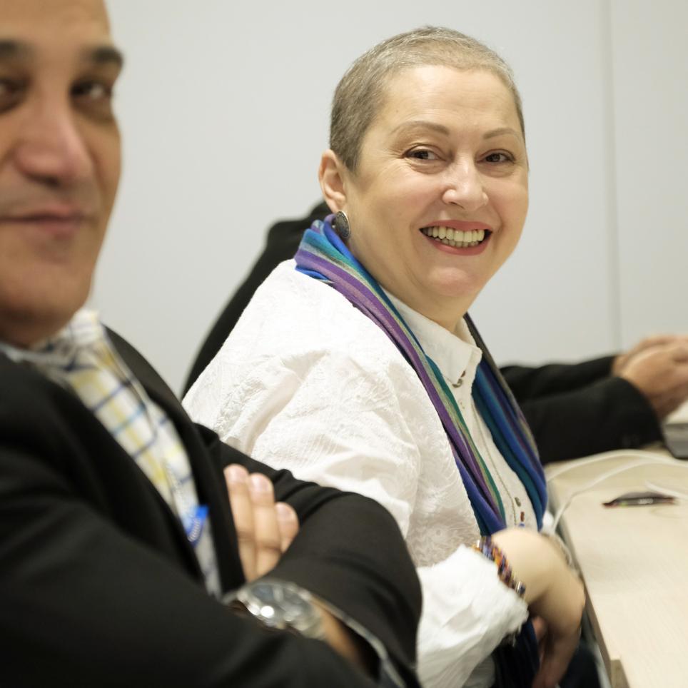 Armine Hayrapetyan - Chief Exercise Controller - Educational Complex of the Armenian MIA