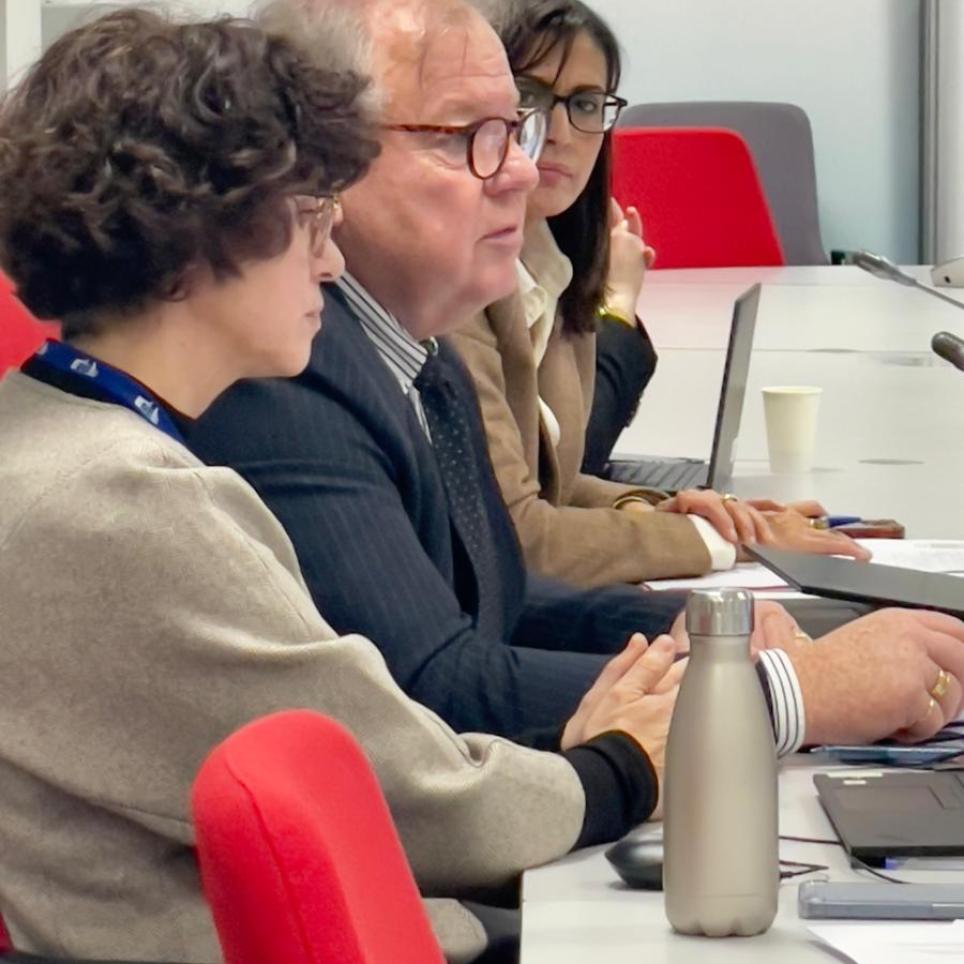 EU-RESPOND Kick-off Meeting, DG ECHO members 