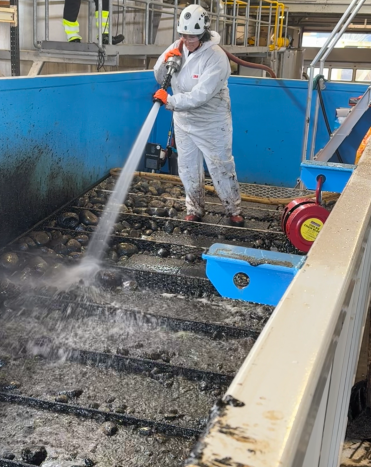 Woman cleaning stones with power washer. 