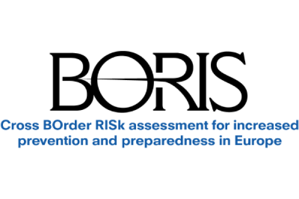 BORIS project logo