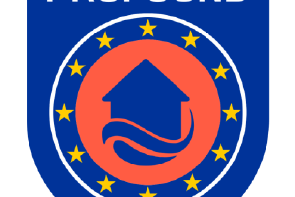 PROFOUND logo