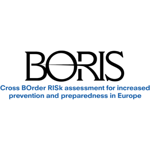 BORIS project logo