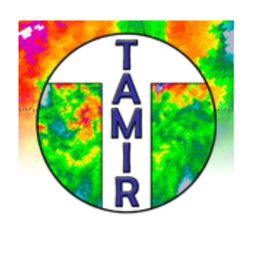 TAMIR logo