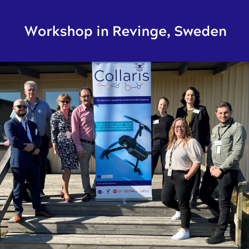 The COLLARIS project team