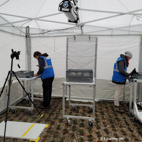 Assessment of movable heritage in the Check-in tent during the KulturGutRetter practical test in Dresden, on 19.10.2023 © E.Goetting-DAI