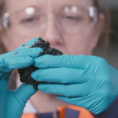 Woman holding a lump of LSFO oil. 