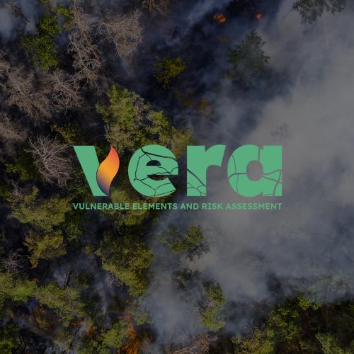 VERA LETTERING BRANDING WHITE