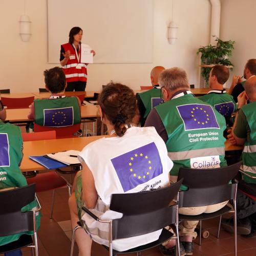 COLLARIS Plenary Meeting Sweden