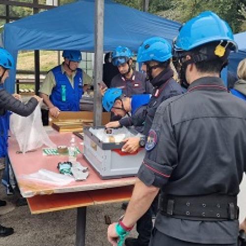 Training for Blue Helmets of Culture