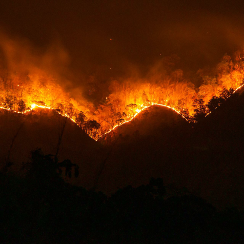 Methodologies and tools for establishing an Early Warning System for forest fires