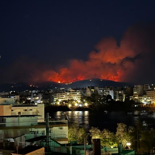Fire in Pissonas, municipality of Chalkida, Greece, on 31 July 2024. Source: HFS.