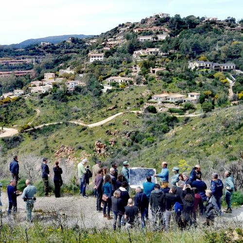 Snaphot of a discussion betweekn stakeholders on a WUI