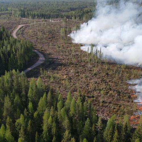 Prescribed burn 27.05.2024 ©KAHY