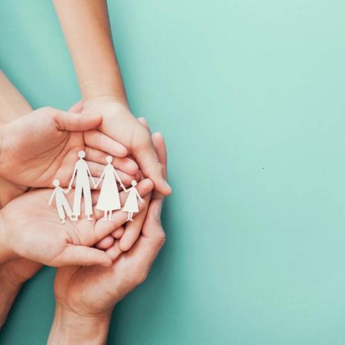 picture for voices from the filed