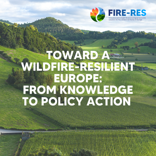 Banner for the final conference