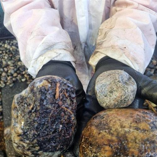 Holding rocks with oil on them.