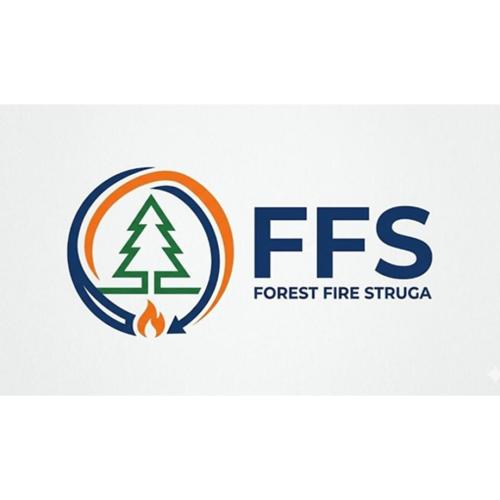 ffs_logo.