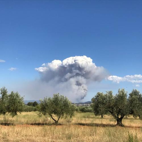Wildfire_pic
